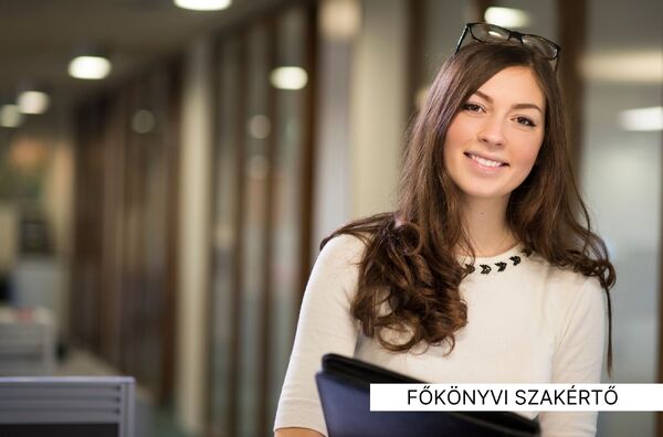 főkönyvi szakértő