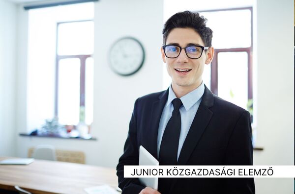 junior közgazdasági elemző