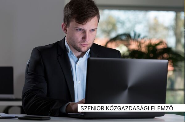 szenior közgazdasági elemző