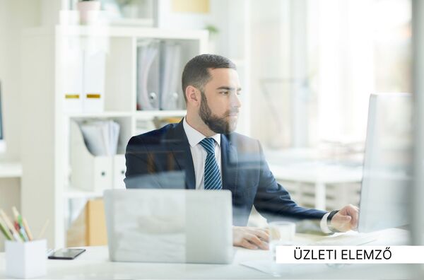 üzleti elemző